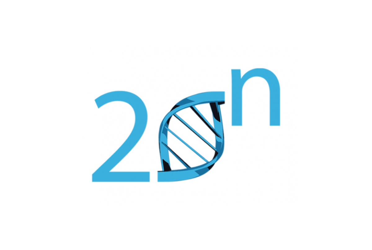 20n Labs Logo