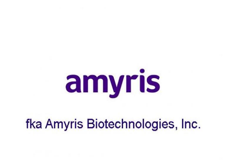 Amyris Amyris