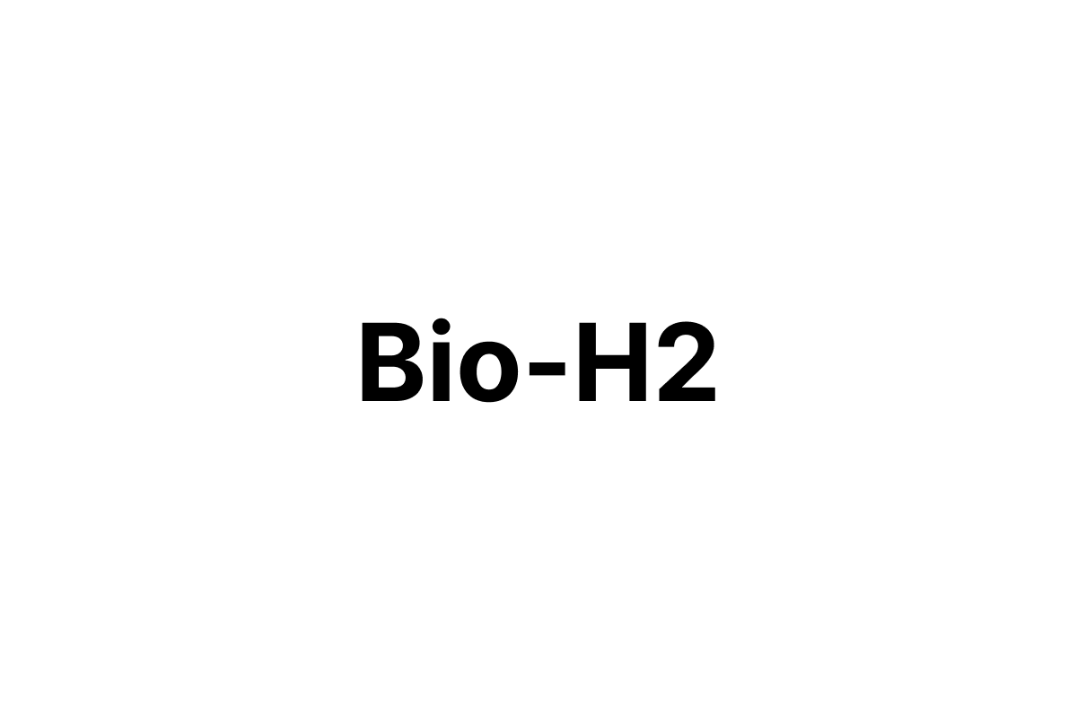 Bio-H2 Logo