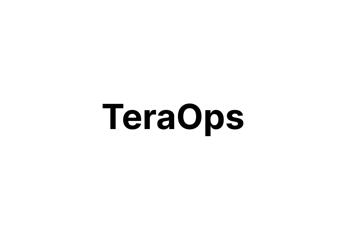 TeraOps Logo